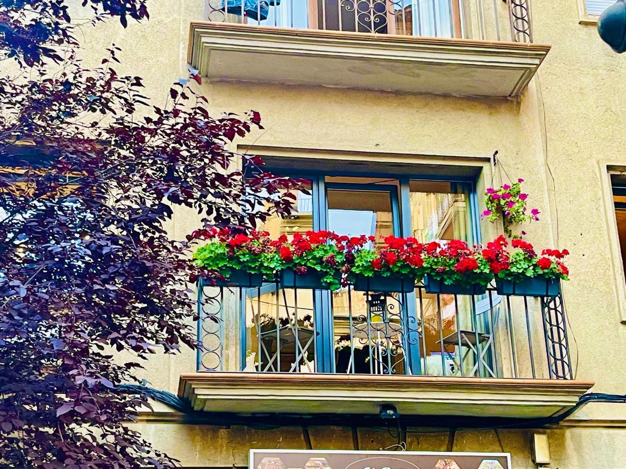 Apartamento Cal Querol 1 - Centre Puigcerdà Exterior foto